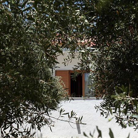 Villa Aelia Kámpos 外观 照片